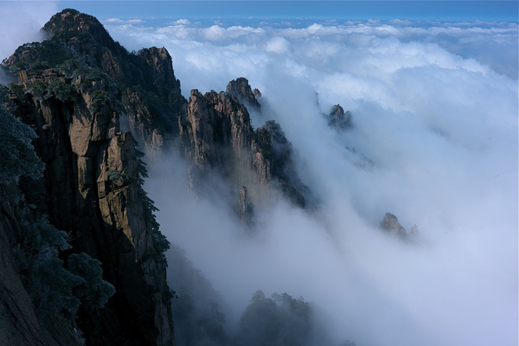 擺閘,三輥閘,速通閘,旋轉(zhuǎn)閘,平移閘,一字閘,人臉識別，